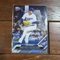 Item thumbnail for item 1b1e24d9-1f65-4c96-8a1b-1c3995c5a3a7