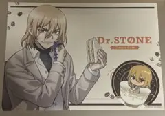 ドクスト特典