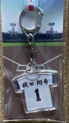 Item thumbnail for item a908a116-5c28-4a0a-aed4-5d01ec85b40c