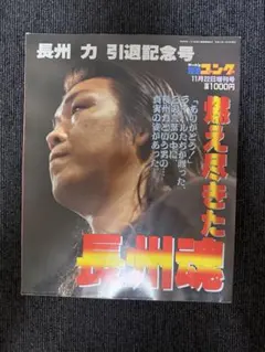 全日本プロレス」SFCソフト販促用B2サイズポスター（非売品・新品