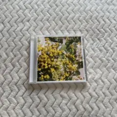 Item thumbnail for item e4a103a1-bfdb-40c2-8168-8902dba3c52b