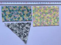 Item thumbnail for item aa4c55ad-2f60-440a-b905-c864478fd674