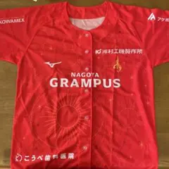 名古屋グランパス 応援グッズ