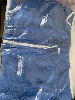 Item thumbnail for item dec3d6a1-a08c-4be5-82d1-3c5ef9e3a7d0