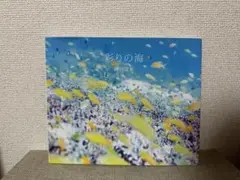 彩りの海 / 鍵井靖章(海中写真 魚 ダイビング 生き物)