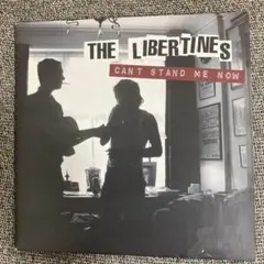 The Libertines リバティーンズ LPレコード 2026年最新】リバティーンズ lpの人気アイテム - メルカリ