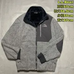 L.L. Bean マウンテンフリース デナリジャケット グレー エルボーパッチ