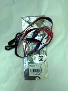 Item thumbnail for item d8f5347d-8ebe-45c6-81d9-a1db9bc1e9c8