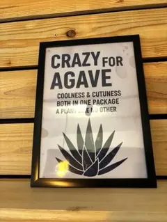 shigemiyuki2000様 リクエスト 4点 まとめ商品