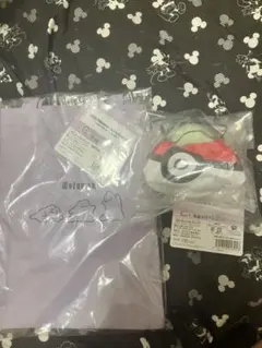 ポケモン一番くじc賞　E賞