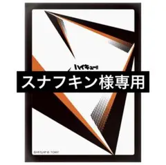 スナフキン様専用ページ