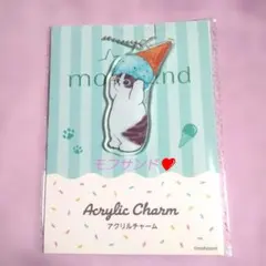 モフサンド ファミマ アクリルチャーム❤️