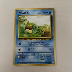 ゼニガメ イントロパック ウォーターパワー