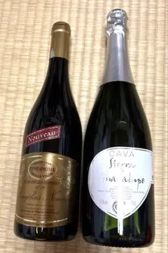 CAVA Sierra de Guadalupe スパークリングワイン 2本のサムネイル