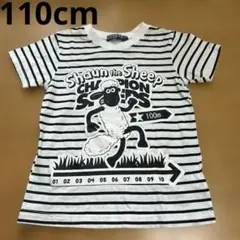 110cm 男の子 女の子 半袖Tシャツ リトルベアクラブ ひつじのショーンのサムネイル