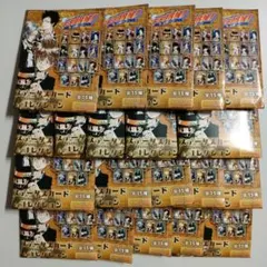 家庭教師ヒットマンREBORN リボーン ステータスカードコレクション 20点