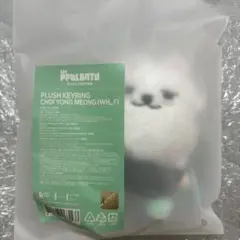 スビン　ヨンモン　５点セット 2025年最新】txt プルバトゥ ヨンモンの人気アイテム - メルカリ