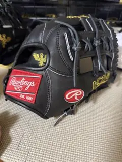 Rawlings 軟式野球用グローブのサムネイル