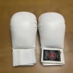 Item thumbnail for item 7db4c28c-7a53-428a-b079-08e354f5ce7b