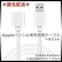 アップルペンシル Apple pencil 第1世代 充電 ケーブル 充電器