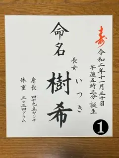 命名書  手書きオーダー  シンプルかっこいい
