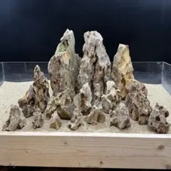 2025年最新】アクアリウム親石の人気アイテム - メルカリ