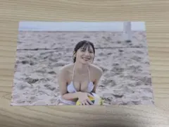 写真集 タレント写真集