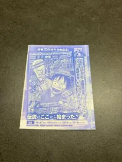 【即発送】【新品未開封】モンキー・D・ルフィ：週刊少年ジャンプ付録