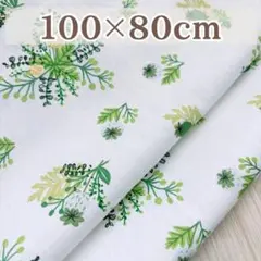 コットン生地 100×80cm グリーン ボタニカル柄 北欧風 綿100％