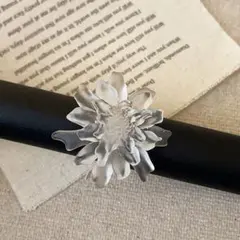 Item thumbnail for item 6f92438d-40a2-427e-b293-b13ce44f3b1c