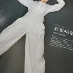 Item thumbnail for item 22600ac9-7160-4e0d-bd50-7459fc367135