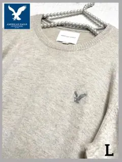 本日限定価格AMERICAN EAGLE 刺繍ワンポイントニット薄手セーター　L