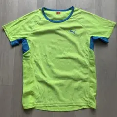 【美品】PUMA プーマ　ランニング　スポーツウェア M 蛍光イエロー/ブルー