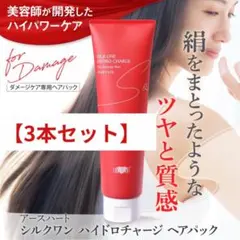 2個セット】EARTHHEART シルクワン チャージ シャンプー 500ml - メルカリ