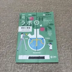 ミニラボのサムネイル