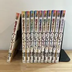 異世界迷宮でハーレムを 全11巻セット