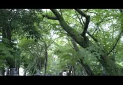 マリア 様　専用出品