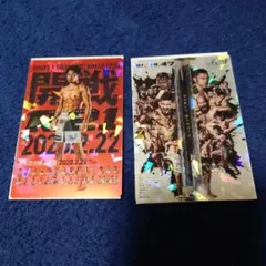 RIZIN　ライジン　ポテトスティック　メタリックプラカード　2枚セット　朝倉