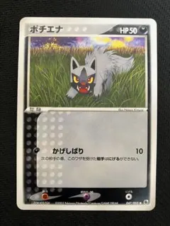 ポチエナ AR ソード&シールド ハイクラスパック VSTARユニバース キラ
