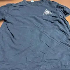 古着 ヴィンテージTシャツ Lサイズ ユーズドUSEDカットソー【70】