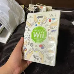 はじめてのWii(0017)のサムネイル