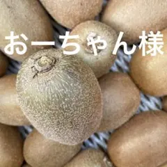 おーちゃん様専用　日焼けキウイちゃん5kg以上