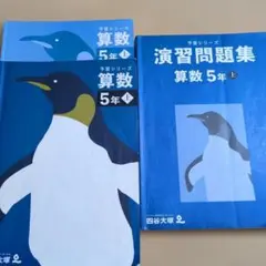 予習シリーズ　演習問題集　５年　上　算数 ２冊セット　四谷大塚
