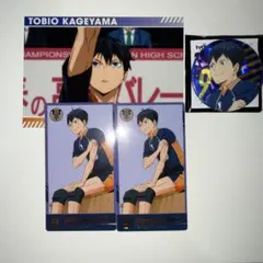 ハイキュー ゴミ捨て場の決戦展 影山飛雄