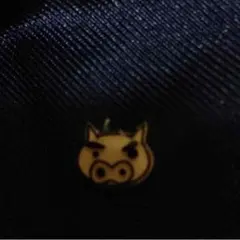 みいころさん専用