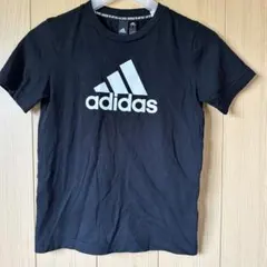 Item thumbnail for item 281a553d-f7f2-420f-9131-08b0e5f520df