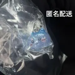 新品未開封　ちいかわパーク入場特典 めじるし まめまめフィギュア チャーム