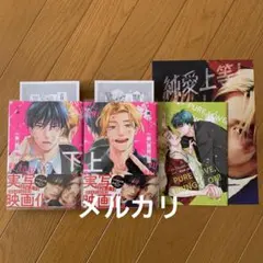 純愛上等! 上下巻 七緒　アニメイトリーフレット　ペーパー　映画フライヤー　特典