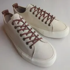 ポインター　SEEKER