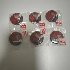 カープ　　選手缶バッチ